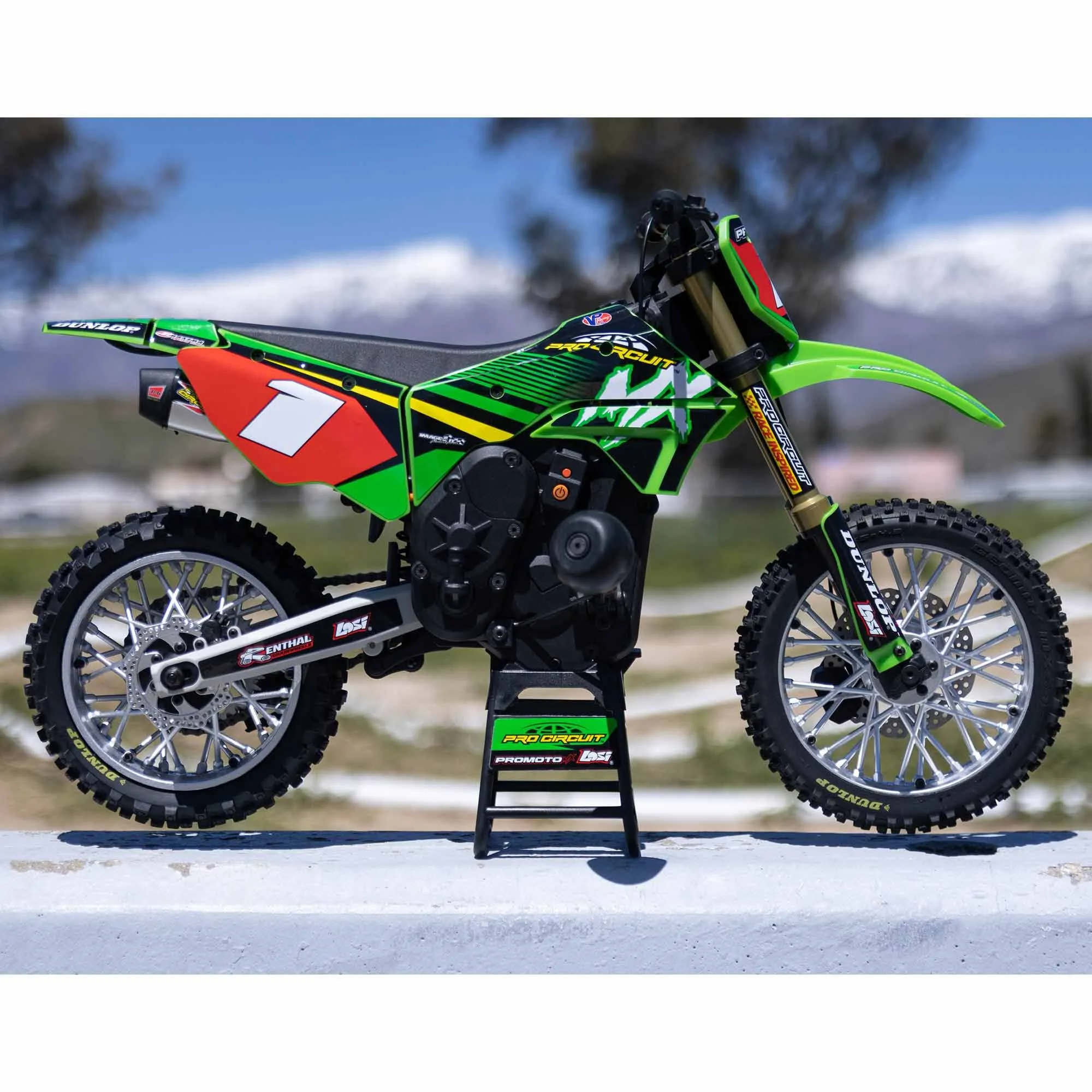 Losi 1/4 Promoto-MX Motorcycle RTR with Battery and Charger, Pro Circuit Green